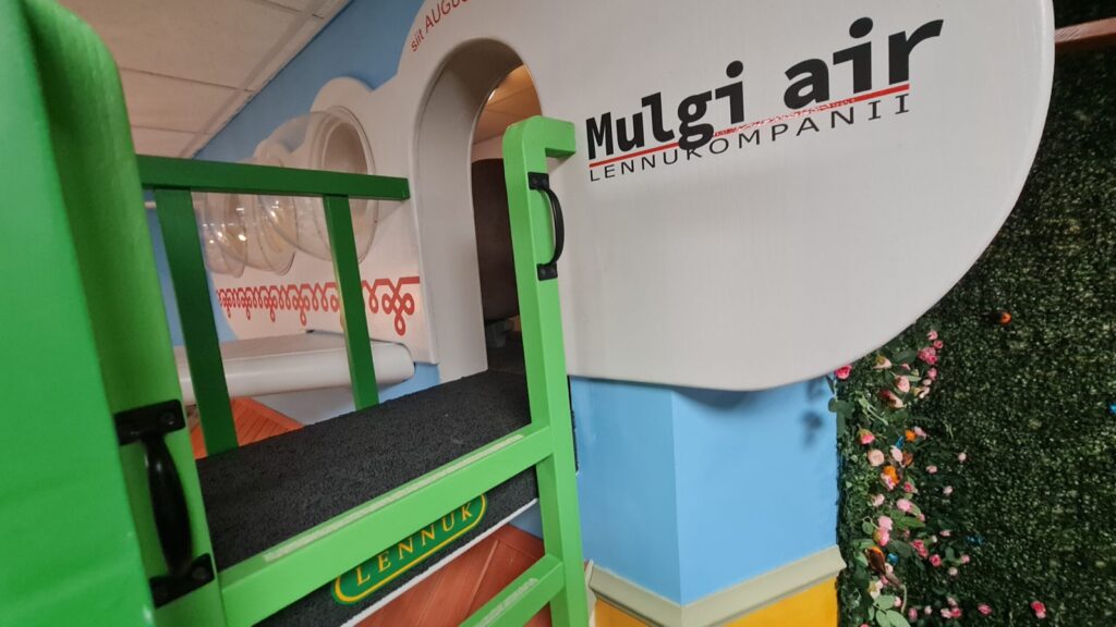 Mulgi Air lennuk